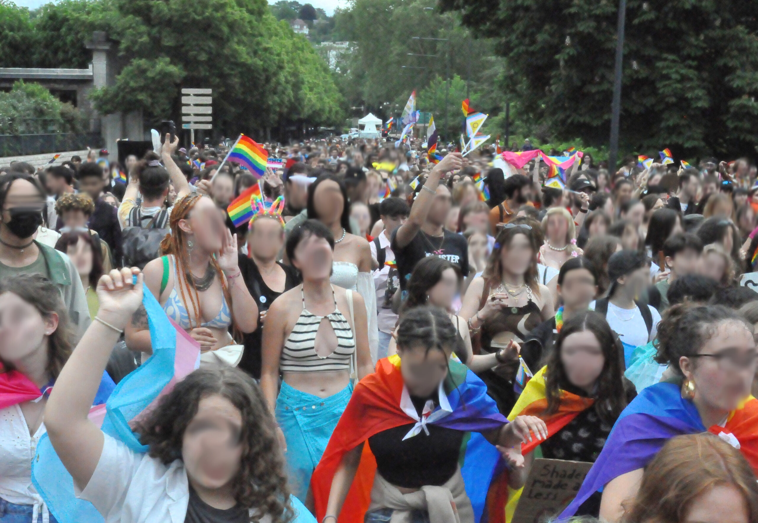 Plusieurs centaines de personnes marchent, drapeaux et pancartes LGBT+ en main.