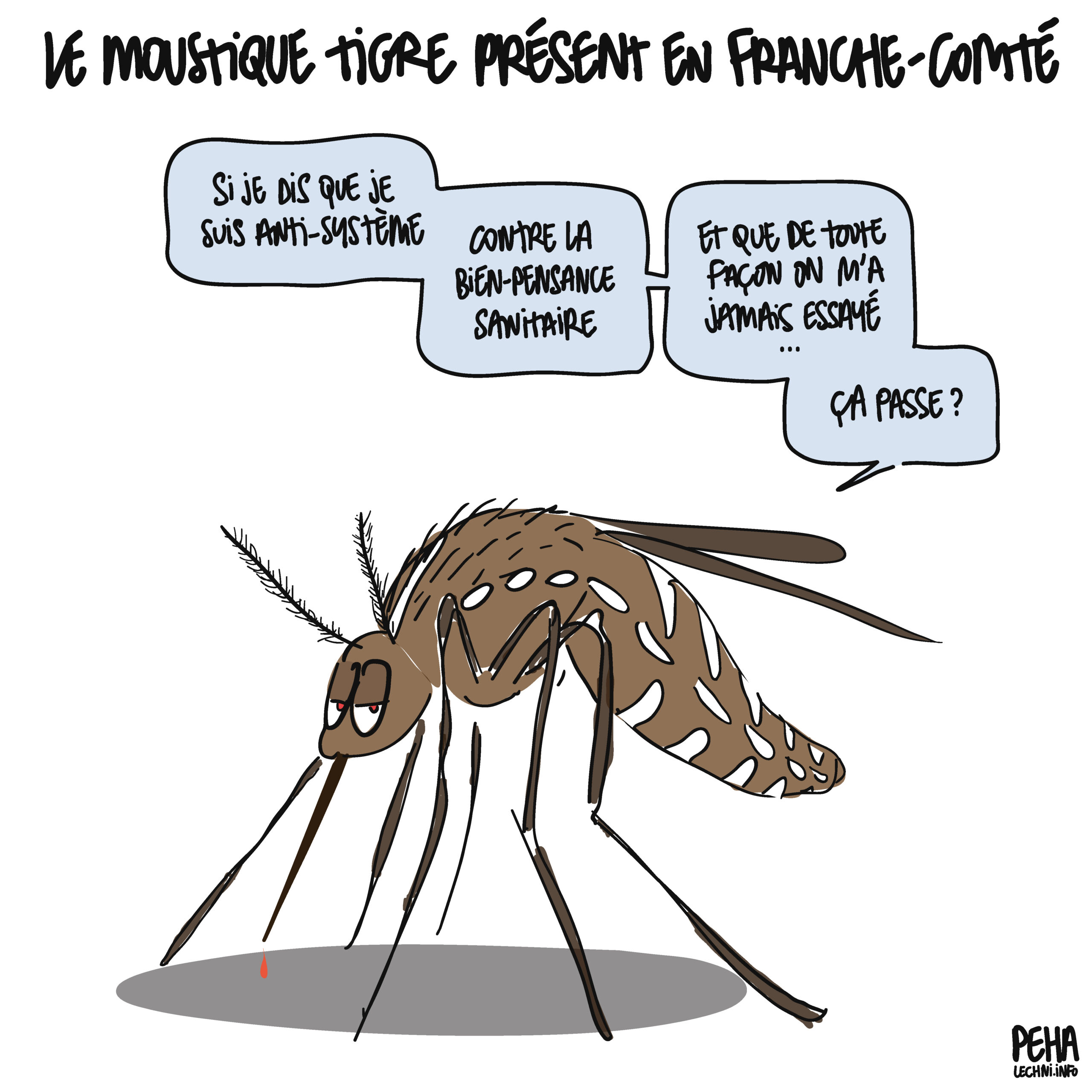 24 07 2024 Moustique Tigre Franche Comté