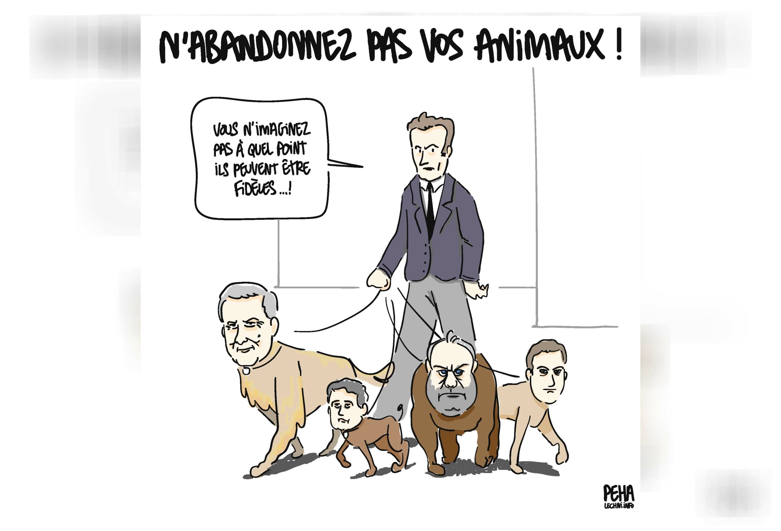 14 08 2024 Abandonnez Animaux Macron Ministres Gauss