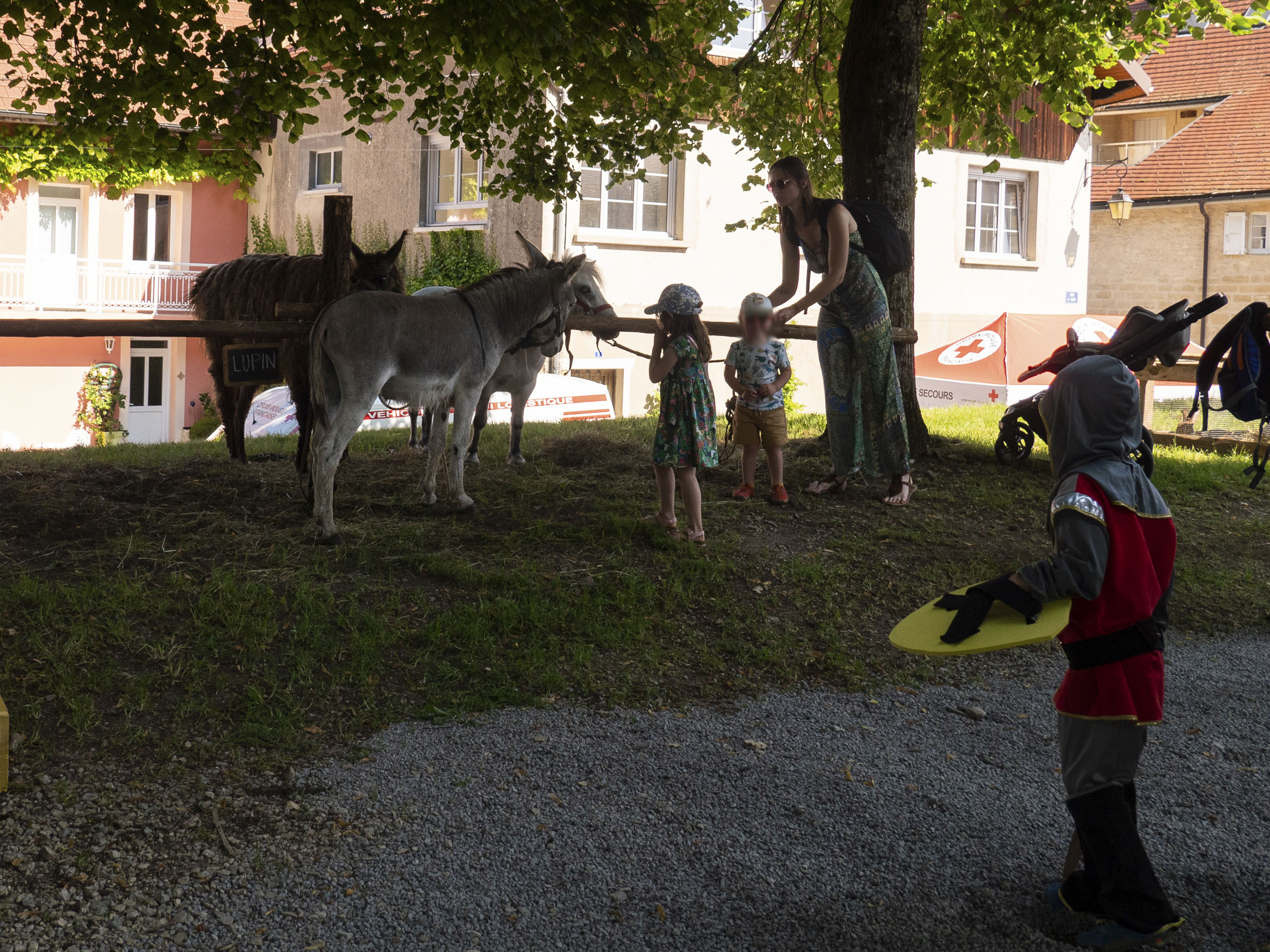 jeunes enfants en train de découvrir les ânes auprès d'un stand d'animaux, à l'ombre des arbres