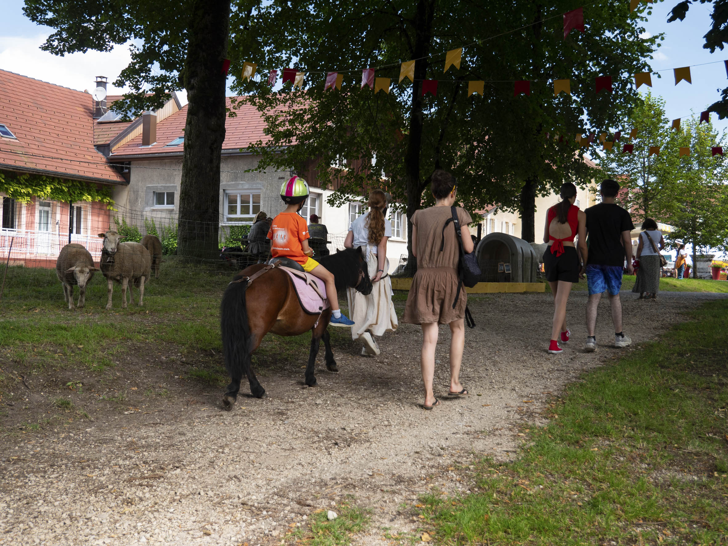 promenade d'enfants à dos d'âne, qui passent sur un chemin à côté de moutons