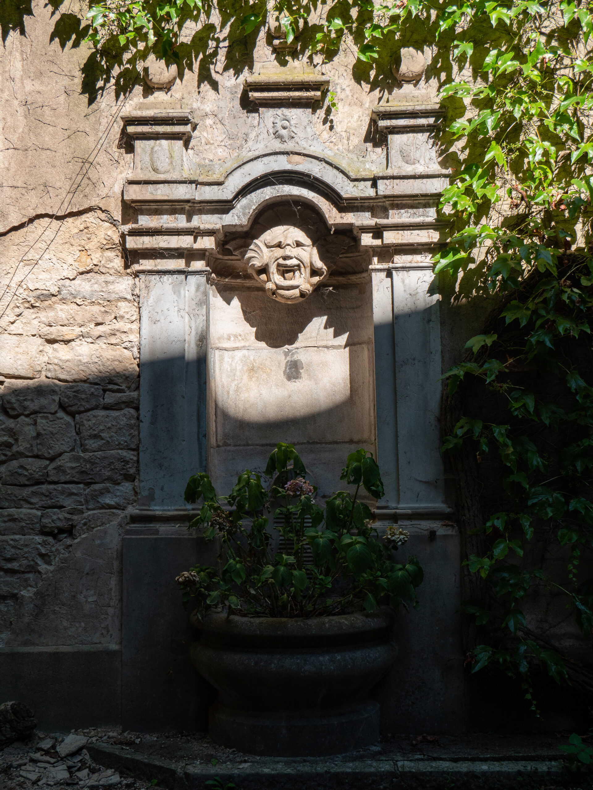 sculpture en pierre d'une tête de démon tirant la langue, au-dessus d'une fontaine en pierre désaffectée dans laquelle des plantes ont poussé