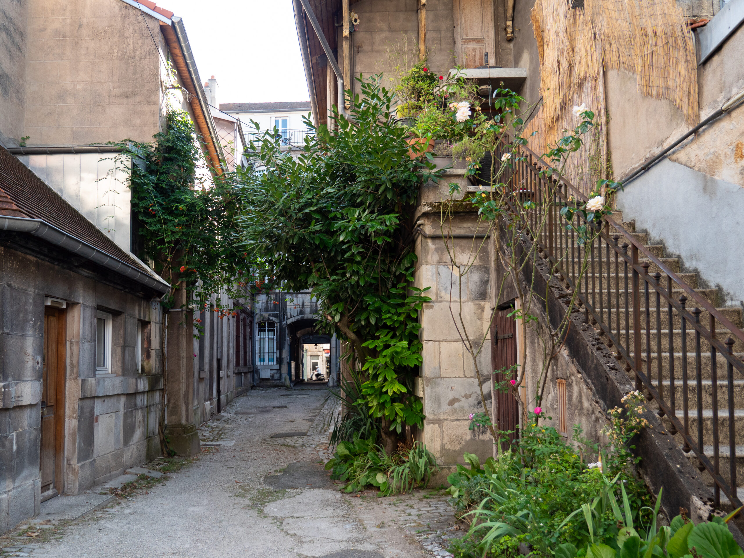 Vue en enfilade d'une cour entourée de bâtiments en vieilles pierres, un escalier non moins vieux montant vers une porte à l'écart. De la végétation verdoyante s'est développé de part et d'autre, se rejoignant au dessus du passage