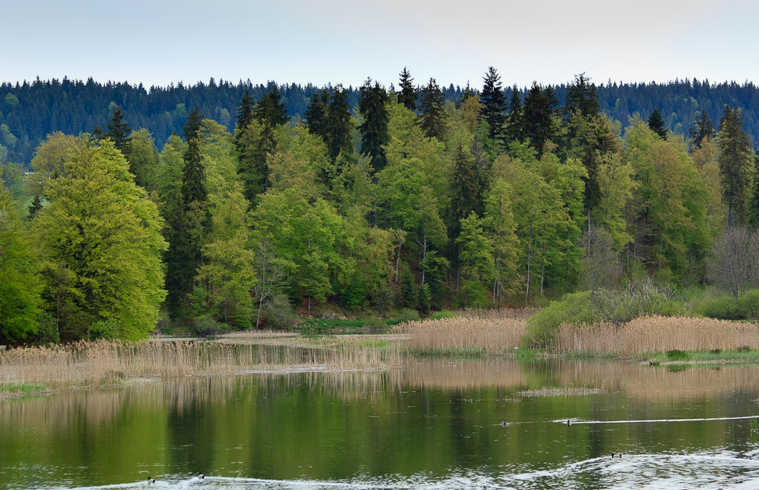 Dans le Jura, le préfet de région se range (seul) derrière deux méga-usines